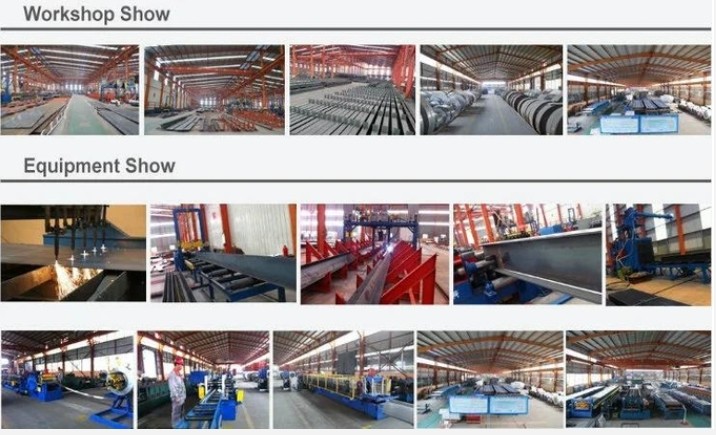 Qingdao Xinguangzheng Husbandry Co.,  Ltd linea di produzione in fabbrica