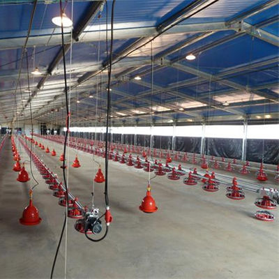 Sistema OEM per il pavimento del pollo da pollo 380V per il pollo da pollo con sistema di sollevamento piatto per tutta la casa