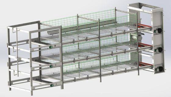 Cage per polli OEM Cage per polli che depongono le uova