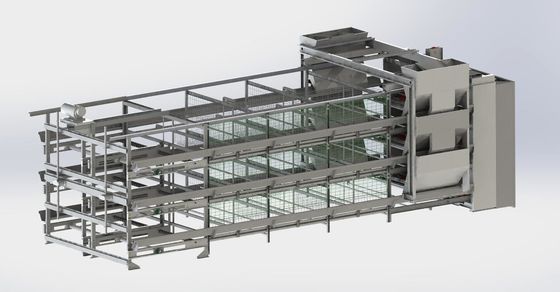Cage per polli OEM Cage per polli che depongono le uova