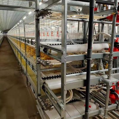 Struttura in acciaio per il bestiame industriale Casa agricola uso pannello colorato