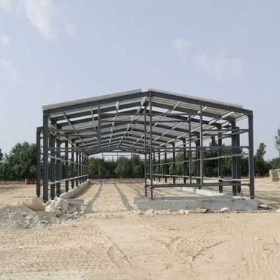 ODM magazzino di metallo prefabbricato Intelligent Steel Frame Chicken House