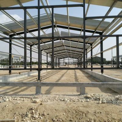 ODM magazzino di metallo prefabbricato Intelligent Steel Frame Chicken House