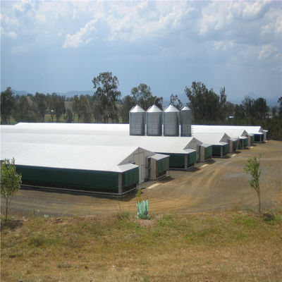 Saldatura Bolt Metal Chicken Coop Farm House Equipment Certificato CE