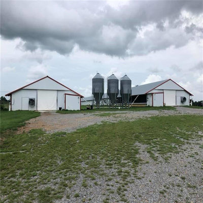 Saldatura Bolt Metal Chicken Coop Farm House Equipment Certificato CE