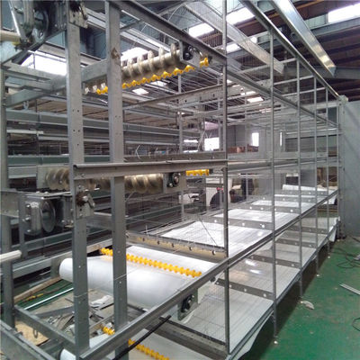 H Sistema automatico di alimentazione per polli da carne per allevamenti avanzati