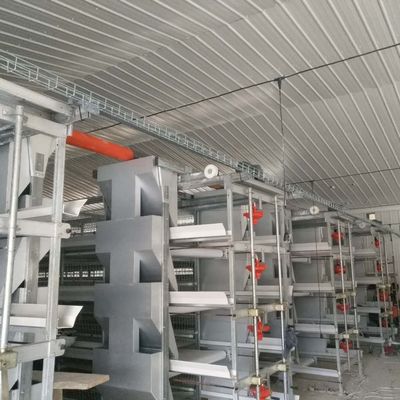 Sistema di gabbia per polli di pollo di grande spessore 230M*56M per il paese di origine