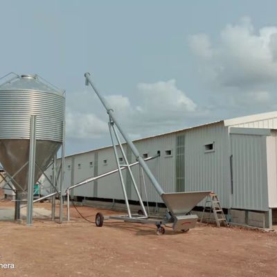Sistema automatico di alimentazione dei polli di gallina La soluzione ideale per le aziende avicole