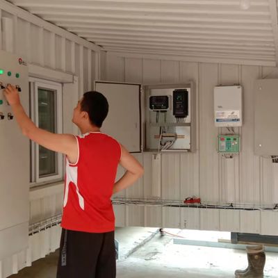 Sistema automatico di alimentazione dei polli di gallina La soluzione ideale per le aziende avicole