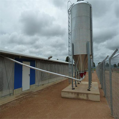 Ottimo sistema di ventilazione interconnessa per la linea di produzione di bestiame