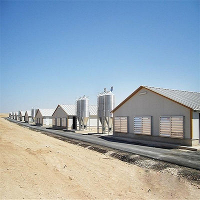 Ottimo sistema di ventilazione interconnessa per la linea di produzione di bestiame