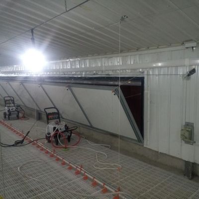 Standard di sistema di pavimento antiscivolo per polli di pollo per prestazioni superiori