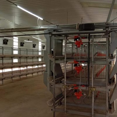 1950*350*380mm gabbia per pollame per pollame tecnologia avanzata