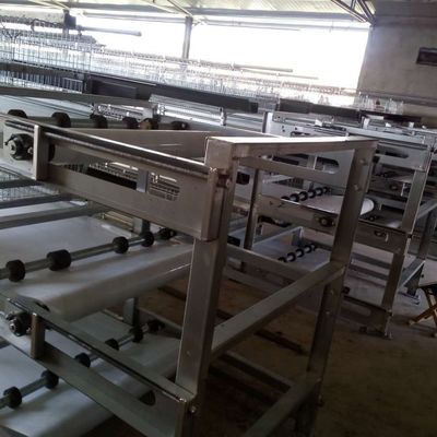 Cage di pollo galvanizzata a tre livelli con alimentazione automatica