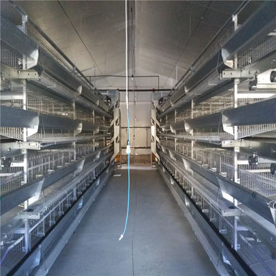 Acciaio galvanizzato per la produzione di uova per polli per sistemi automatizzati di alimentazione e bevande