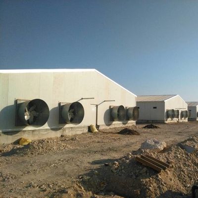 Casa di pollame prefabbricata con tetto a candela personalizzato con pannelli isolanti