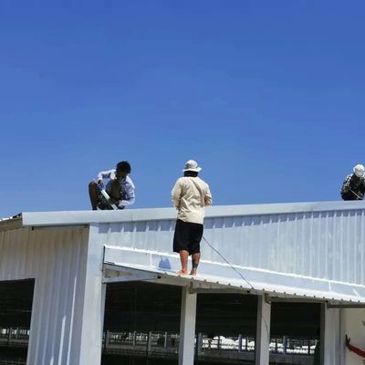 Edificio in acciaio per pollame resistente al tempo