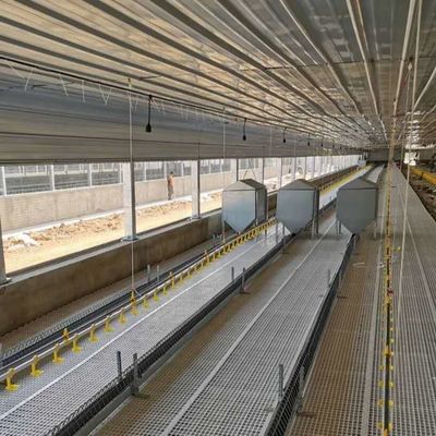 Edificio in acciaio per pollame resistente al tempo