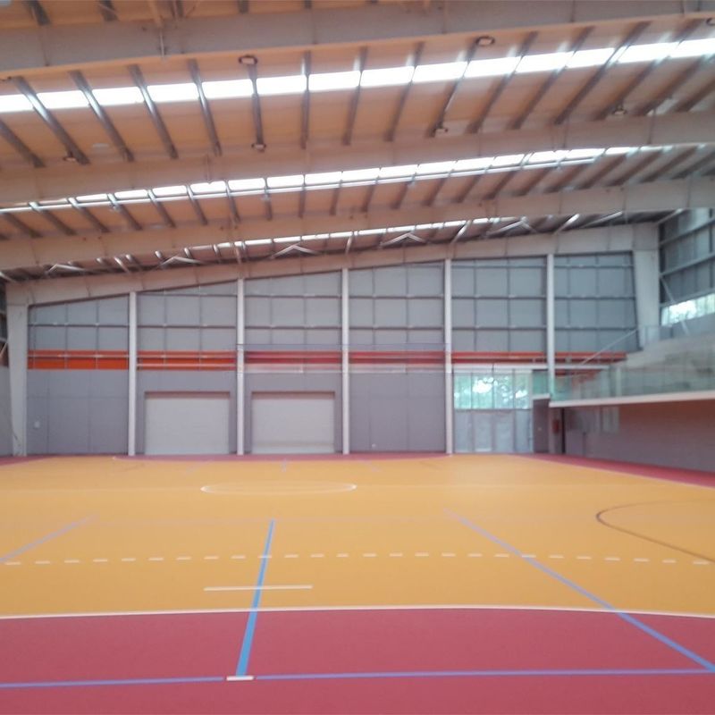 Struttura in acciaio galvanizzato Stadio Prefabbricato Colorato Per Esercizio