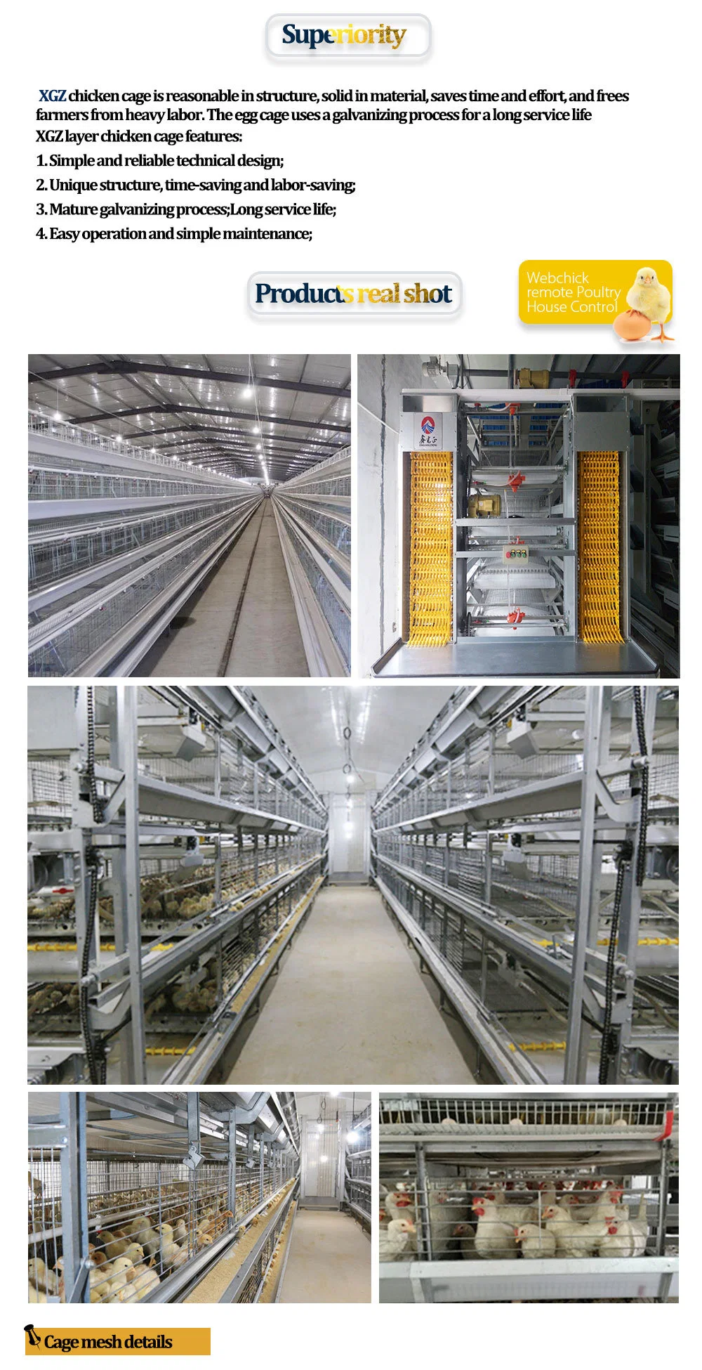 Cage per polli OEM Cage per polli che depongono le uova 2