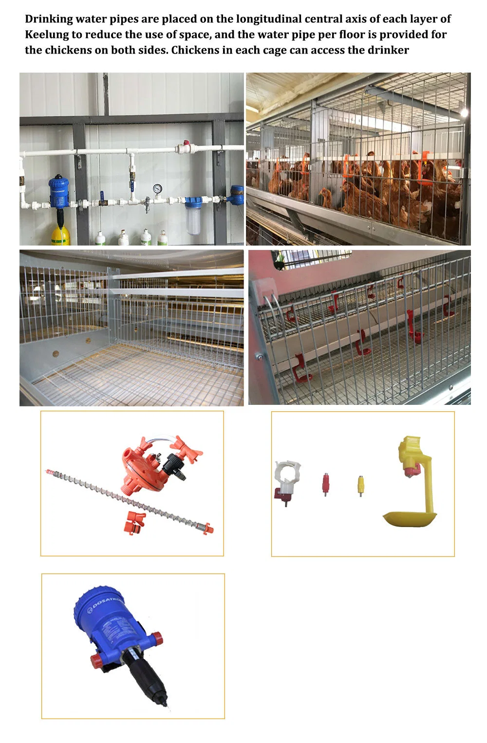 Cage per polli OEM Cage per polli che depongono le uova 4