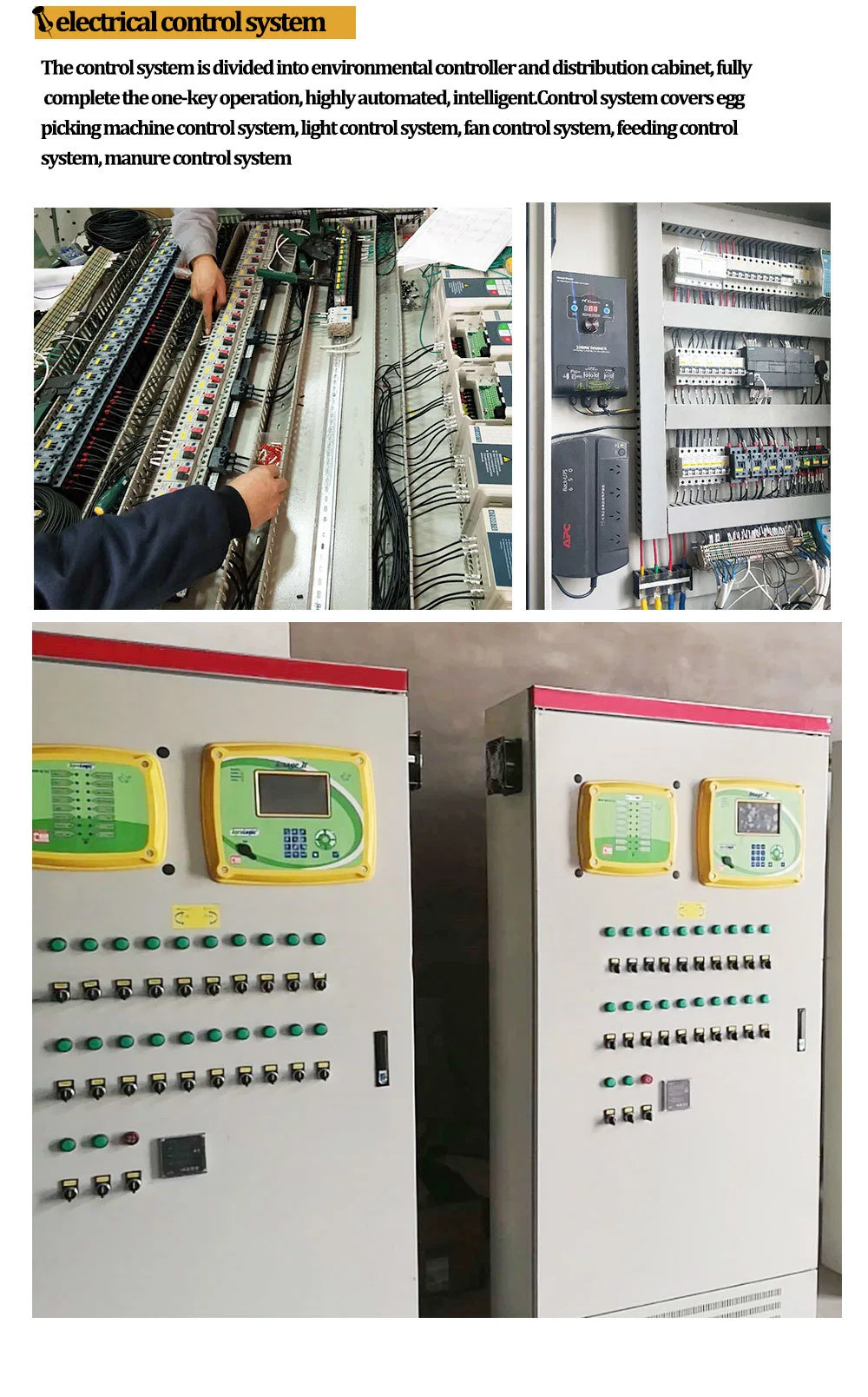 Cage per polli OEM Cage per polli che depongono le uova 5