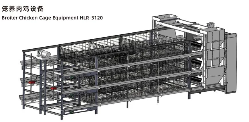 Sistema ISO di gabbia per polli di pollo gabbia per polli di pollo personalizzata per l'allevamento di polli 1