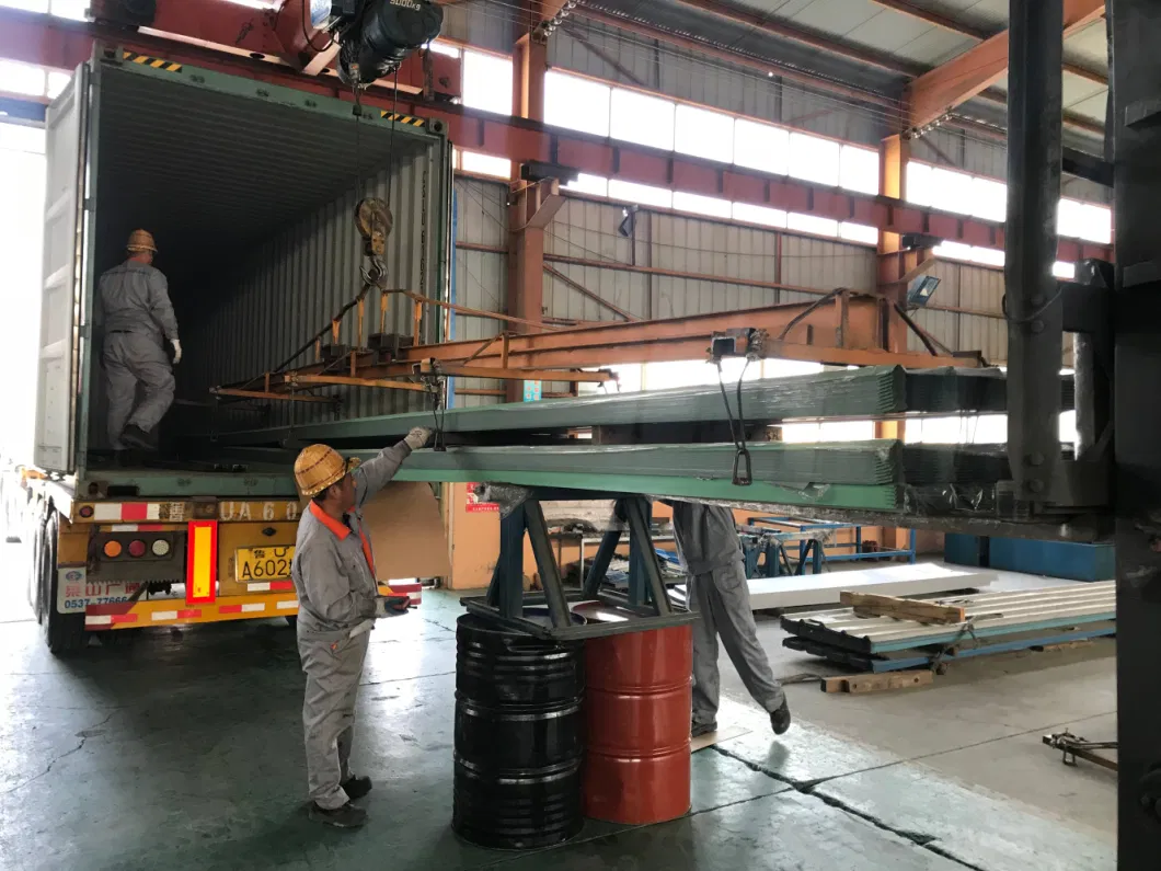 ISO Struttura di acciaio magazzino struttura di acciaio industriale magazzino frigorifero 10