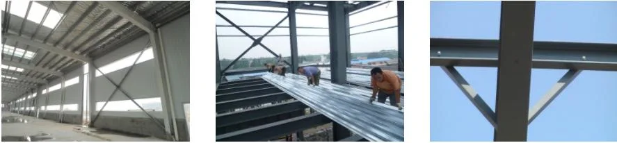 Immagazzino di costruzioni in acciaio riciclato al 100% con sistemazione flessibile 2