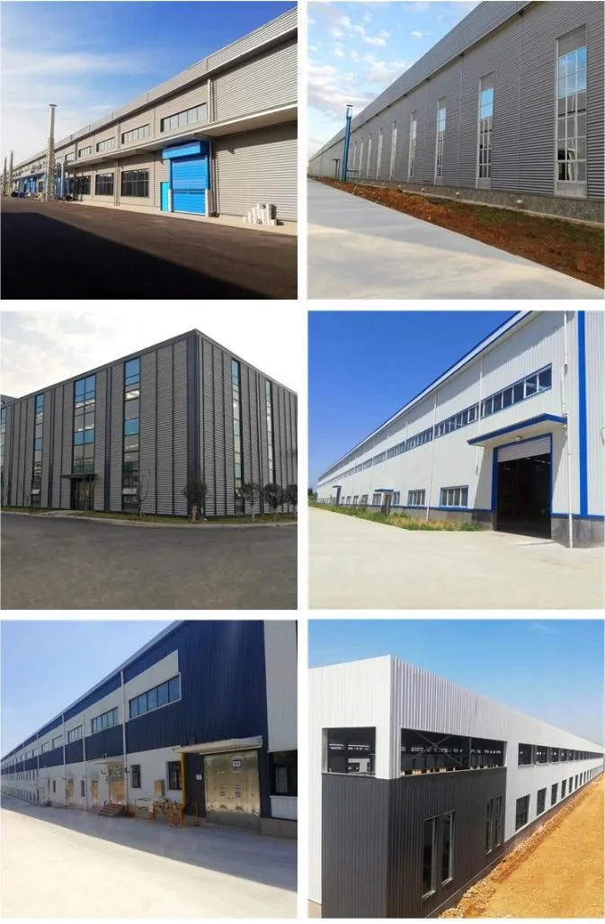Prezzo di fabbrica Officina di costruzioni in acciaio e costruzioni prefabbricate in acciaio 6
